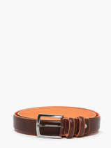 Riem Etrier Bruin bride EBRI708C