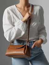 Cross Body Tas Accordeon Double Leder Lancaster Bruin accordeon double 88-vue-porte