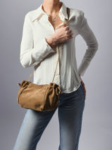 Cross Body Tas Premium Leder Gerard darel Bruin premium DCS07400-vue-porte