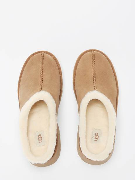 Boots New Height Cozy Uit Leder Ugg Bruin women 1162510 ander zicht 4