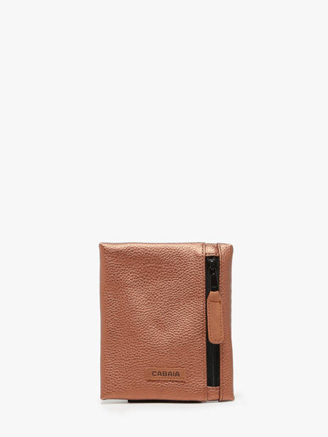 Ritsvak Cabaia Bruin pocket POCKBOTT