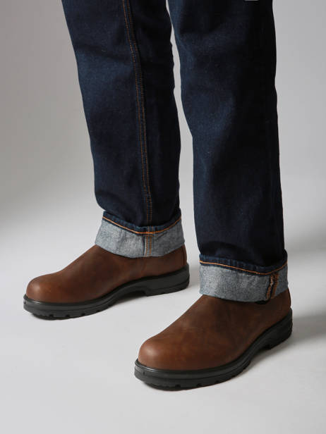 Chelsea Boots Uit Leder Blundstone Bruin men 1609 ander zicht 1