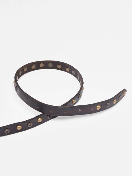 Damesriem Met Studs Whitney Leder Biba Bruin belt WHIT3A ander zicht 1
